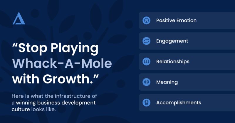 PERMA 6 - Stop playing whack-a-mole with growth and accomplishment at work